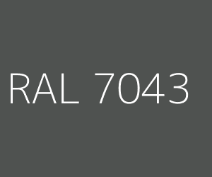 RAL-7043-kolor-300x250.jpg