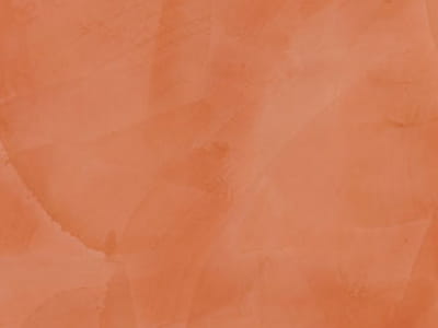 r231.jpg