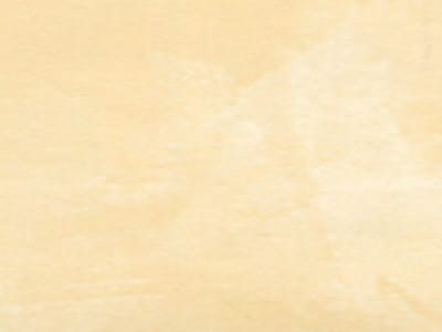r2320.jpg