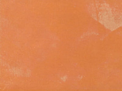 r29.jpg