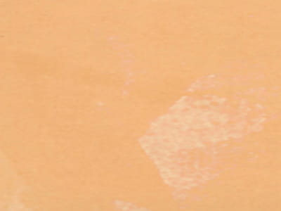 r295.jpg