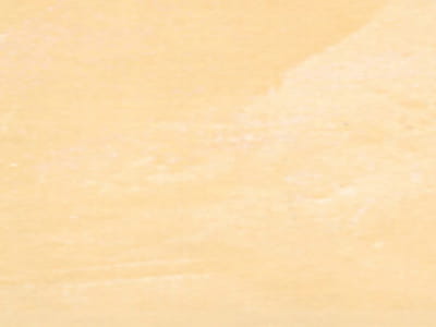 r2920.jpg