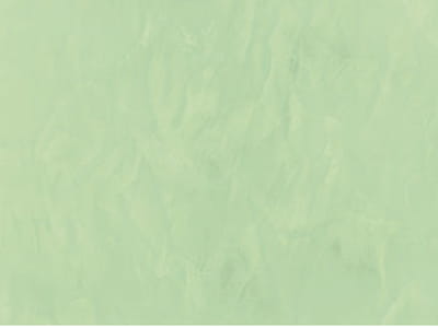 r454.jpg