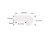 45629.webp