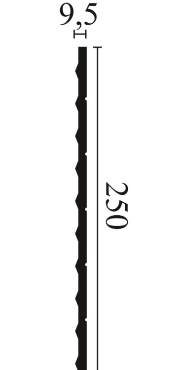 PLISSE L2.jpg
