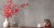 indeco-banner.jpg