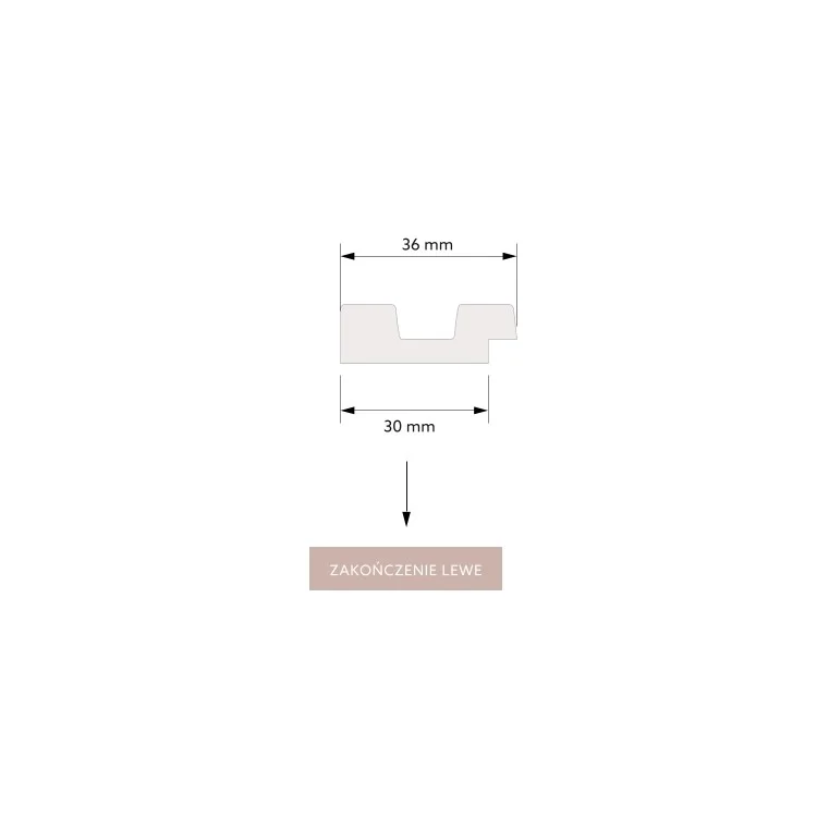 5.webp
