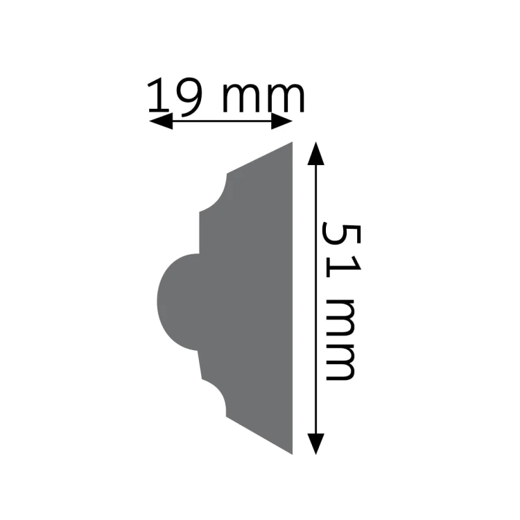 LNZ-04 (1).jpg