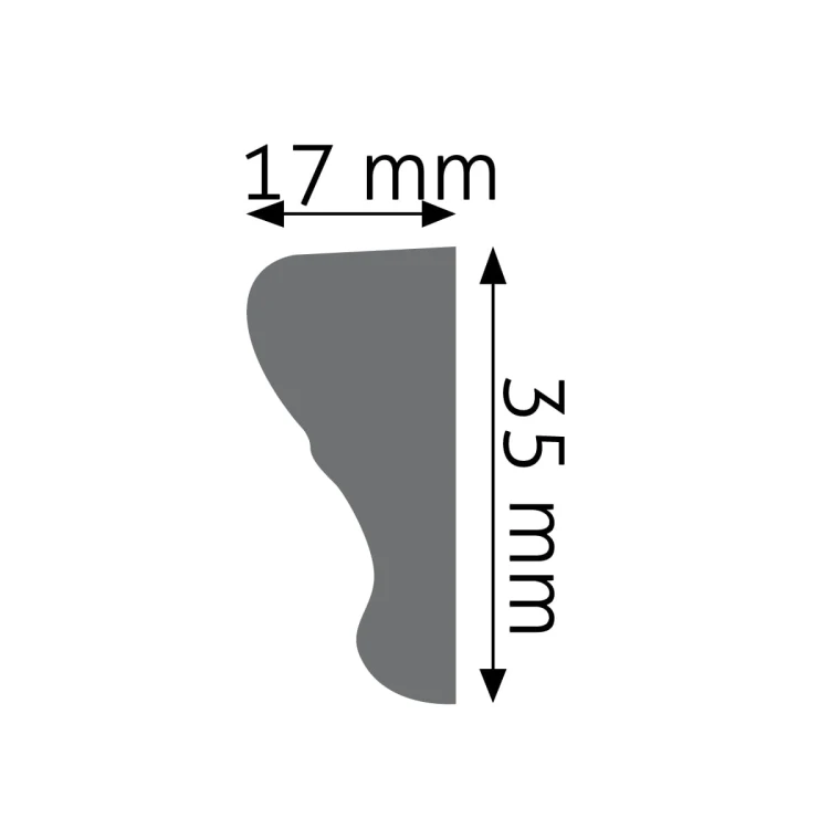 LNG-07 (1).jpg