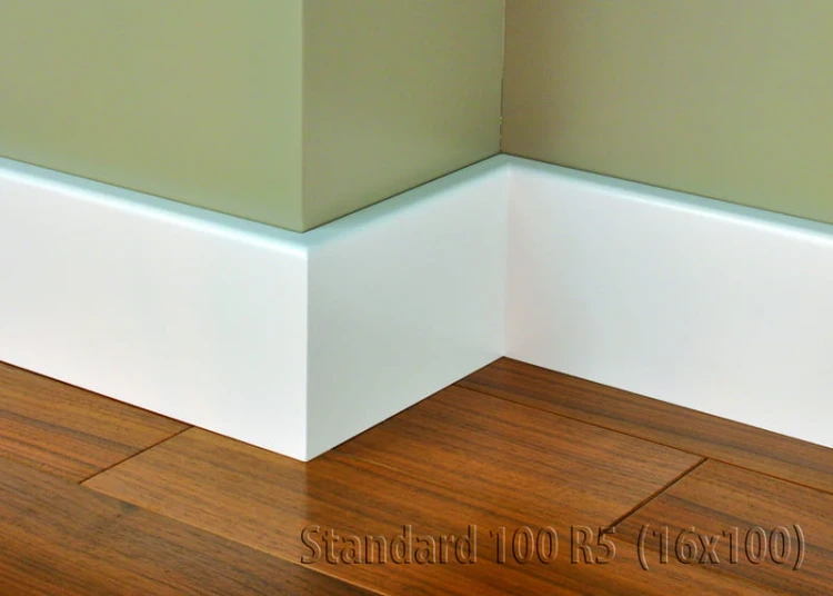 standard_100_r5_16x100_1.jpg