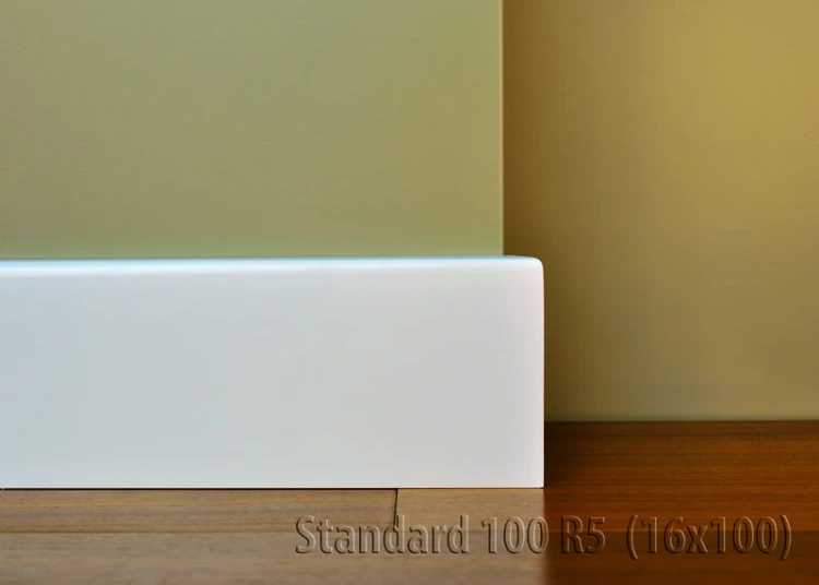 standard_100_r5_16x100_2.jpg