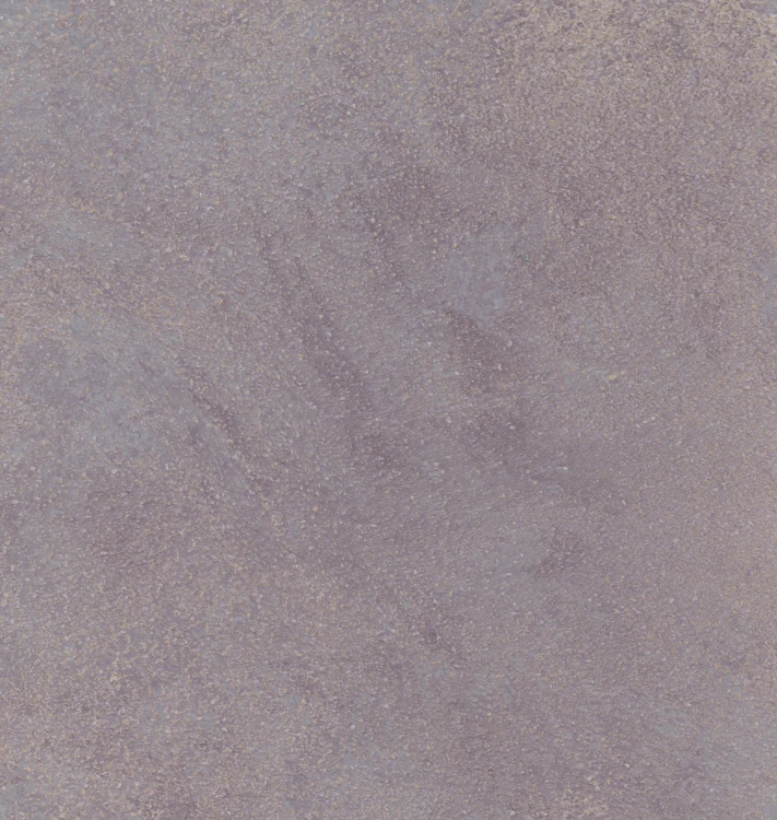 445.jpg