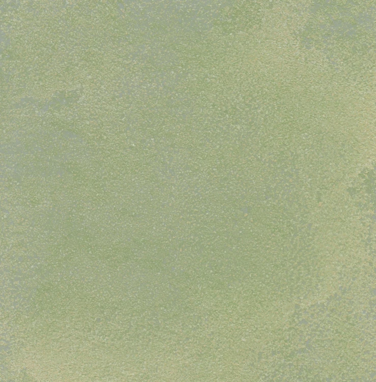 459.jpg
