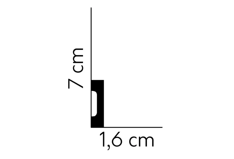 md3593.jpg